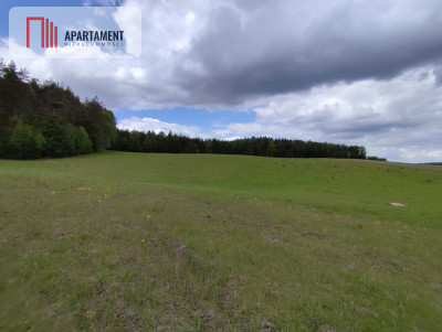 Działki z WZ w Miastku - powiat bytowski  -
Pomorskie Zdjęcie nr 13