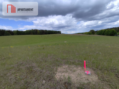 Działki z WZ w Miastku - powiat bytowski  -
Pomorskie Zdjęcie nr 14