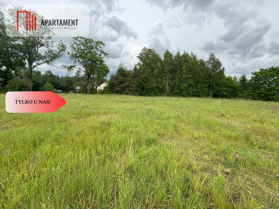 Działka Stary Bukowiec - Stary Bukowiec  -
Pomorskie Zdjęcie nr 7