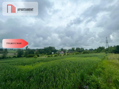 Działka z warunkami zabudowy Koniecwałd - Koniecwałd  -
Pomorskie Zdjęcie nr 5