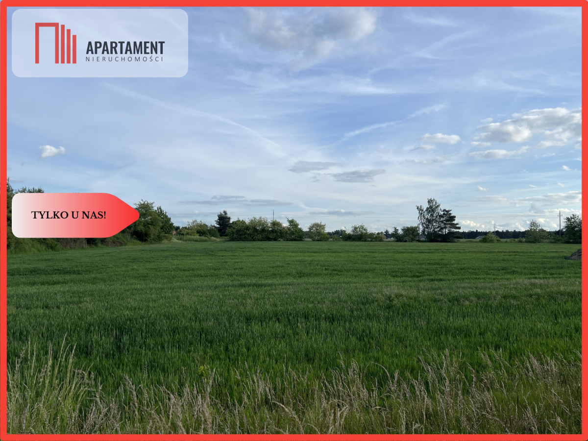 Działka Budowlana Dobra MEDIA MPZP SUPER OKOLICA - Dobra  -
Dolnośląskie Zdjęcie nr 1