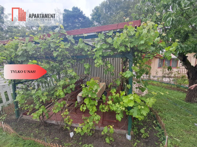  Działka ROD Żurczyn - powiat nakielski  -
Kujawsko-Pomorskie Zdjęcie nr 3