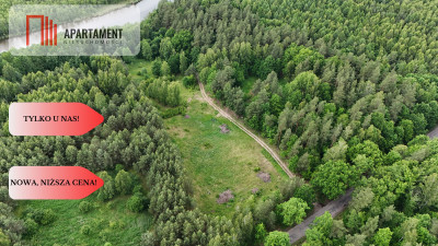 Działka z linią brzegową  Mazury media WZ - Zalewo  -
Warmińsko-Mazurskie Zdjęcie nr 4