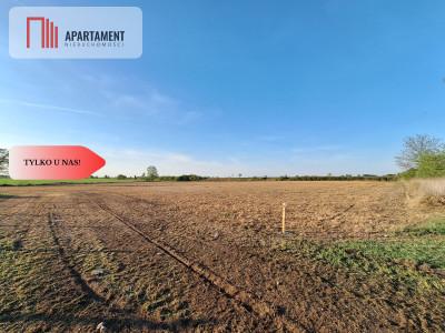 Działka w atrakcyjnej cenie - Boruchowo  -
Wielkopolskie Zdjęcie nr 2