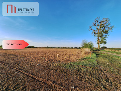 Działka w atrakcyjnej cenie - Boruchowo  -
Wielkopolskie Zdjęcie nr 4