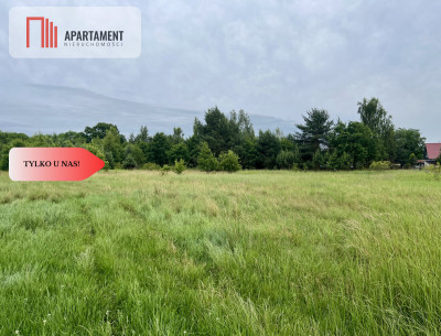 BEZ PCC Działki Budowlane Lubiąż FV MPZP - Lubiąż  -
Dolnośląskie Zdjęcie nr 2