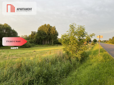 Bez PCC FV Media  Działki Domaszków MPZP - Domaszków  -
Dolnośląskie Zdjęcie nr 4