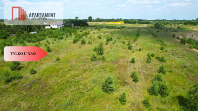 Działka budowlana 800m od jeziora - Wymysłowo  -
Wielkopolskie Zdjęcie nr 4