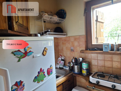 działka rekreacyjna Tryszczyn lasy jezioro - Tryszczyn  -
Kujawsko-Pomorskie Zdjęcie nr 10