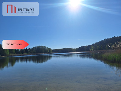 działka rekreacyjna Tryszczyn lasy jezioro - Tryszczyn  -
Kujawsko-Pomorskie Zdjęcie nr 6