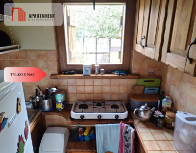 działka rekreacyjna Tryszczyn lasy jezioro - Tryszczyn  -
Kujawsko-Pomorskie Zdjęcie nr 7