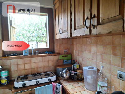 działka rekreacyjna Tryszczyn lasy jezioro - Tryszczyn  -
Kujawsko-Pomorskie Zdjęcie nr 8