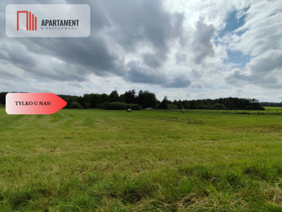 TYLKO U NAS Działka z możliwością zabudowy - Dąbrowa  -
Kujawsko-Pomorskie Zdjęcie nr 10