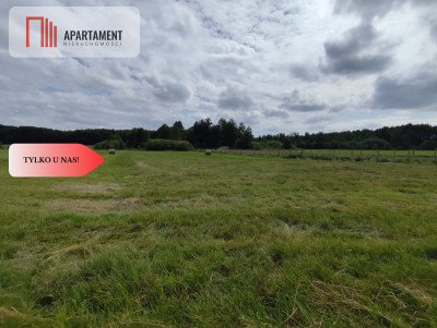 TYLKO U NAS Działka z możliwością zabudowy - Dąbrowa  -
Kujawsko-Pomorskie Zdjęcie nr 12