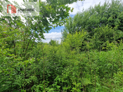 Spokojna okolica blisko lasu - Przyjaźń  -
Pomorskie Zdjęcie nr 3