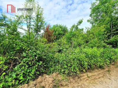 Spokojna okolica blisko lasu - Przyjaźń  -
Pomorskie Zdjęcie nr 7