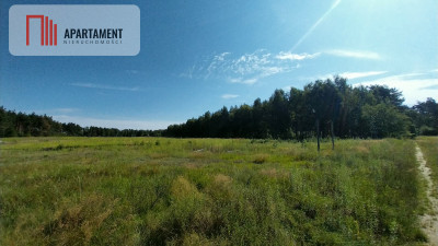 Działka w lesie - Sipiory  -
Kujawsko-Pomorskie Zdjęcie nr 4