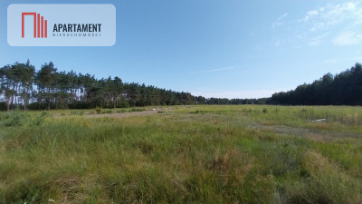 Działka w lesie - Sipiory  -
Kujawsko-Pomorskie Zdjęcie nr 5