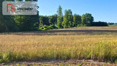 Działka pod budowę domu niedaleko jeziora - Nekla  -
Kujawsko-Pomorskie Zdjęcie nr 2
