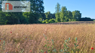 Działka pod budowę domu niedaleko jeziora - Nekla  -
Kujawsko-Pomorskie Zdjęcie nr 3