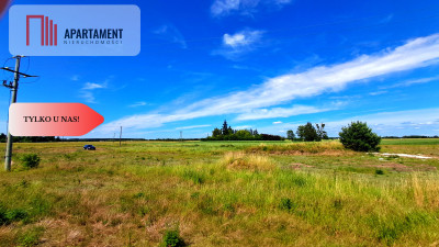 Nowa cena Duża działka blisko jeziora - Cekcyn  -
Kujawsko-Pomorskie Zdjęcie nr 6