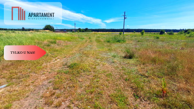 Nowa cena Duża działka blisko jeziora - Cekcyn  -
Kujawsko-Pomorskie Zdjęcie nr 9