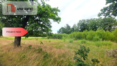 Tylko u Nas Działka o jakiej marzysz w Krojantach - Krojanty  -
Pomorskie Zdjęcie nr 5