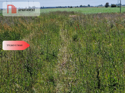 Działka budowlana z MPZP - zabudowa jednorodzinna - Obłaczkowo  -
Wielkopolskie Zdjęcie nr 3