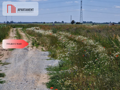 Działka budowlana z MPZP - zabudowa jednorodzinna - Obłaczkowo  -
Wielkopolskie Zdjęcie nr 5