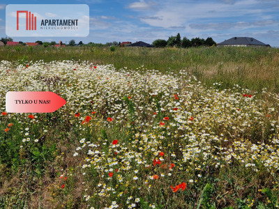 Działka budowlana z MPZP - zabudowa jednorodzinna - Obłaczkowo  -
Wielkopolskie Zdjęcie nr 7