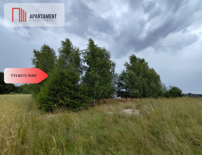 TYLKO U NAS Działka blisko jeziora Zakrzewskiego - Witunia  -
Kujawsko-Pomorskie Zdjęcie nr 7