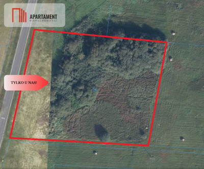 REZERWACJA Duża działka blisko jeziora - Trzciel  - Lubuskie