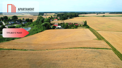 Działka budowlana z widokiem na polany - Miedzno  -
Kujawsko-Pomorskie Zdjęcie nr 4