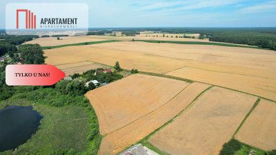 Działka budowlana z widokiem na polany - Miedzno  -
Kujawsko-Pomorskie Zdjęcie nr 6