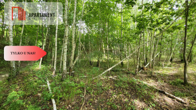 2118mkw z WZ - Wyrzysk Skarbowy - Wyrzysk Skarbowy  -
Wielkopolskie Zdjęcie nr 2