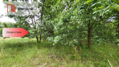 2118mkw z WZ - Wyrzysk Skarbowy - Wyrzysk Skarbowy  -
Wielkopolskie Zdjęcie nr 3