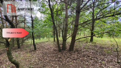 2118mkw z WZ - Wyrzysk Skarbowy - Wyrzysk Skarbowy  -
Wielkopolskie Zdjęcie nr 5