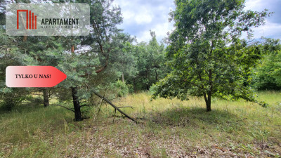 2118mkw z WZ - Wyrzysk Skarbowy - Wyrzysk Skarbowy  -
Wielkopolskie Zdjęcie nr 6