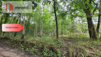 2118mkw z WZ - Wyrzysk Skarbowy - Wyrzysk Skarbowy  -
Wielkopolskie Zdjęcie nr 7