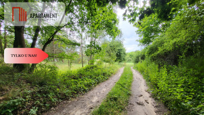 2118mkw z WZ - Wyrzysk Skarbowy - Wyrzysk Skarbowy  -
Wielkopolskie Zdjęcie nr 8