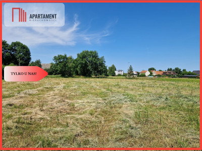 Cicha okolica na Twój wymarzony domLasyJeziora - Kolnica  - Opolskie