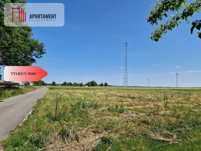 Cicha okolica na Twój wymarzony domLasyJeziora - Kolnica  -
Opolskie Zdjęcie nr 2