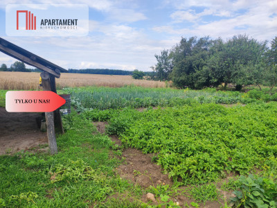 Działka rolna z dużą stodołą - Lubiel  -
Dolnośląskie Zdjęcie nr 4