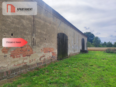 Działka rolna z dużą stodołą - Lubiel  -
Dolnośląskie Zdjęcie nr 5