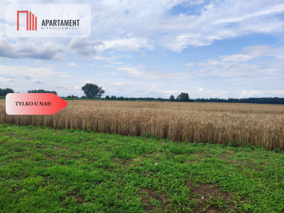 Działka rolna z dużą stodołą - Lubiel  -
Dolnośląskie Zdjęcie nr 6