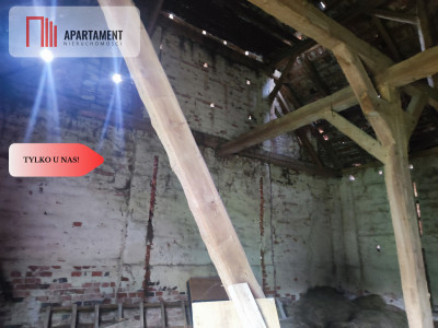 Działka rolna z dużą stodołą - Lubiel  -
Dolnośląskie Zdjęcie nr 7