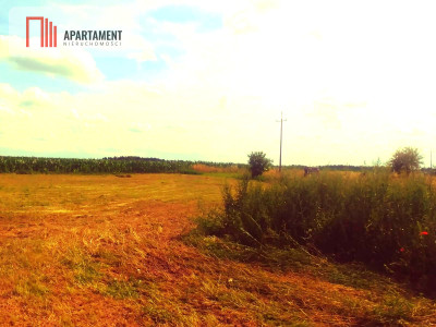 Działka z WZ w sąsiedztwie nowych domów - Samoklęski Duże  -
Kujawsko-Pomorskie Zdjęcie nr 3