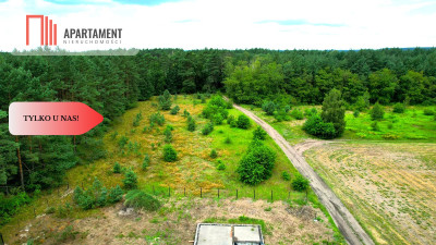 Cegielnik działka 1356m2 ze ścianą lasu - powiat toruński  -
Kujawsko-Pomorskie Zdjęcie nr 11