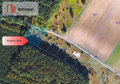 Cegielnik działka 1356m2 ze ścianą lasu - powiat toruński  -
Kujawsko-Pomorskie Zdjęcie nr 2