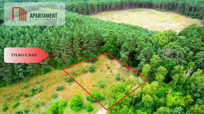 Cegielnik działka 1356m2 ze ścianą lasu - powiat toruński  -
Kujawsko-Pomorskie Zdjęcie nr 3